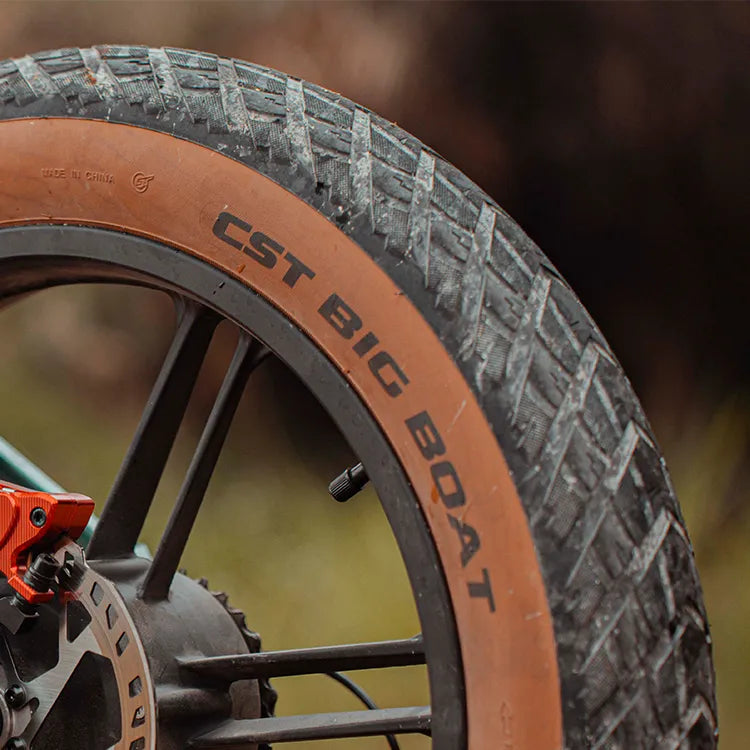 Fiido M1 Pro 2025 Folding Fat Tire Electric Mountain Bike