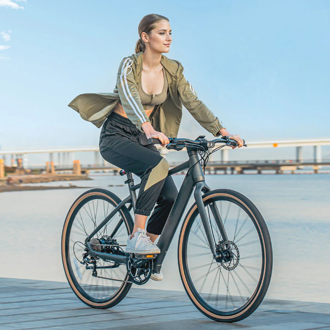 Fiido C21 Electric Gravel Bike