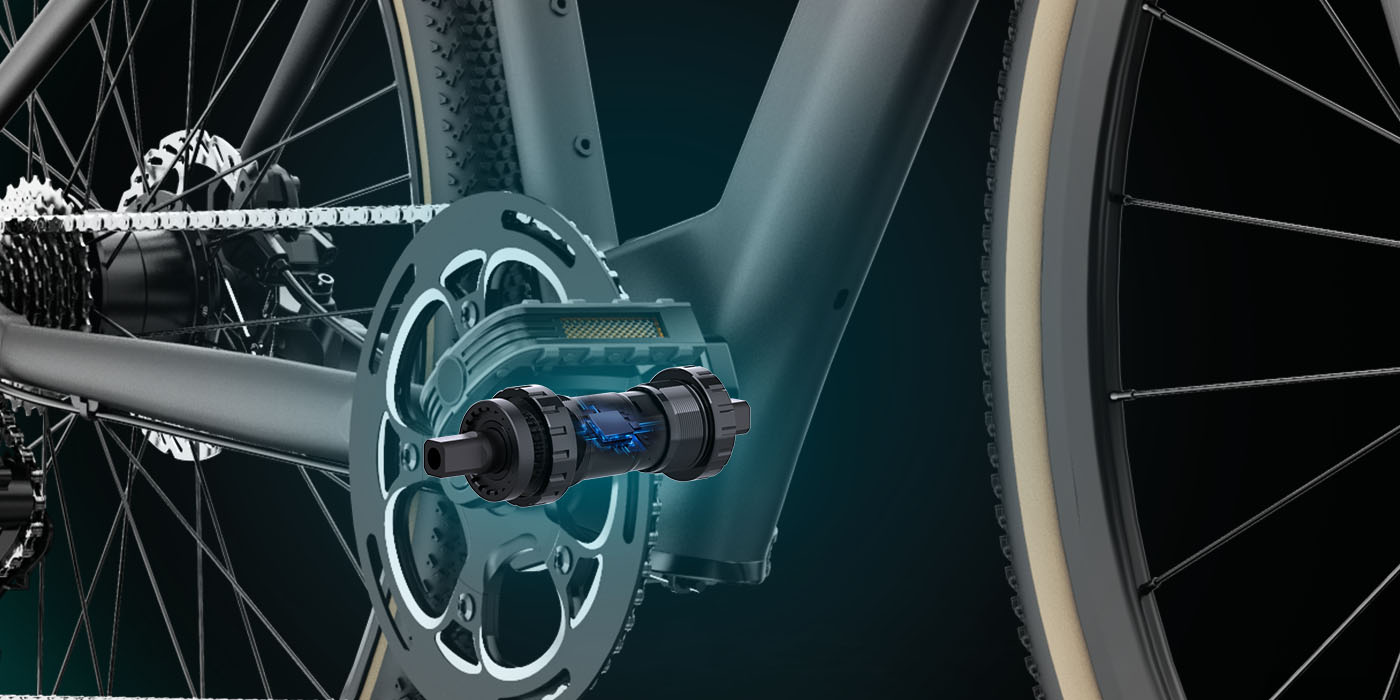Fiido C21 Electric Gravel Bike