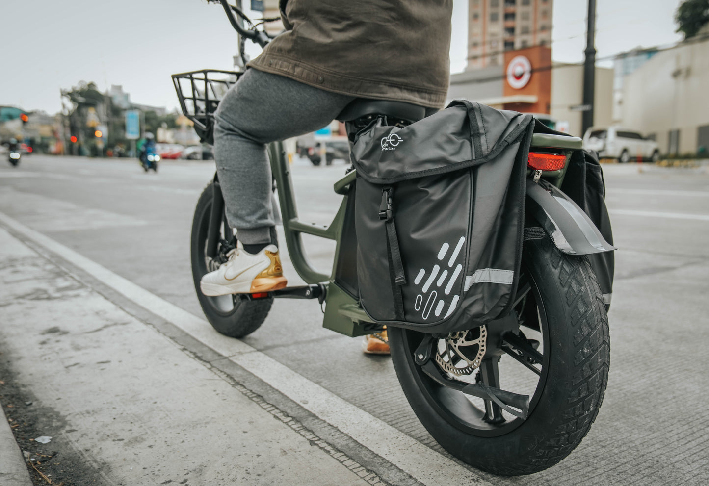 Fiido T1 Pro Passenger/Cargo Electric Bike