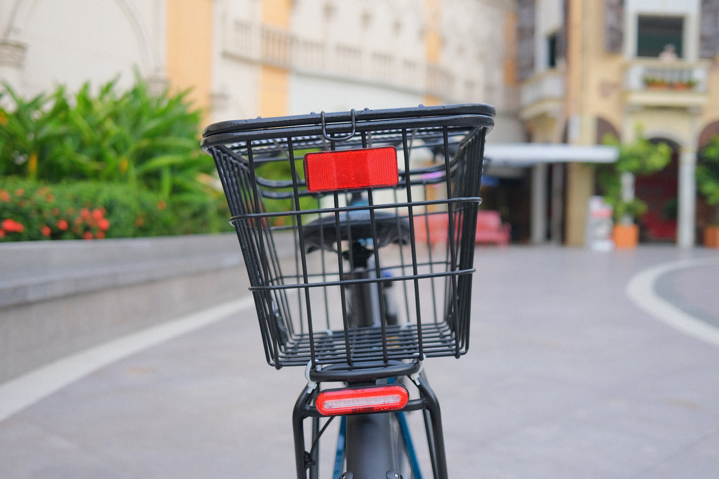 Basket with Cover