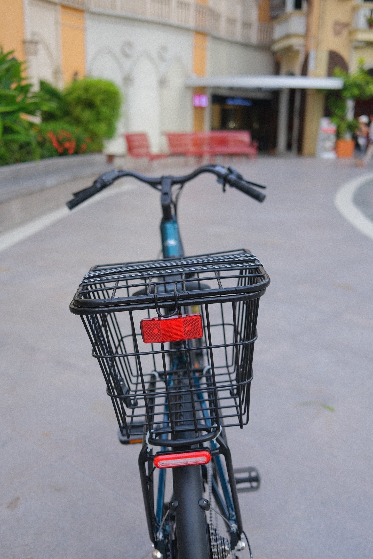 Basket with Cover