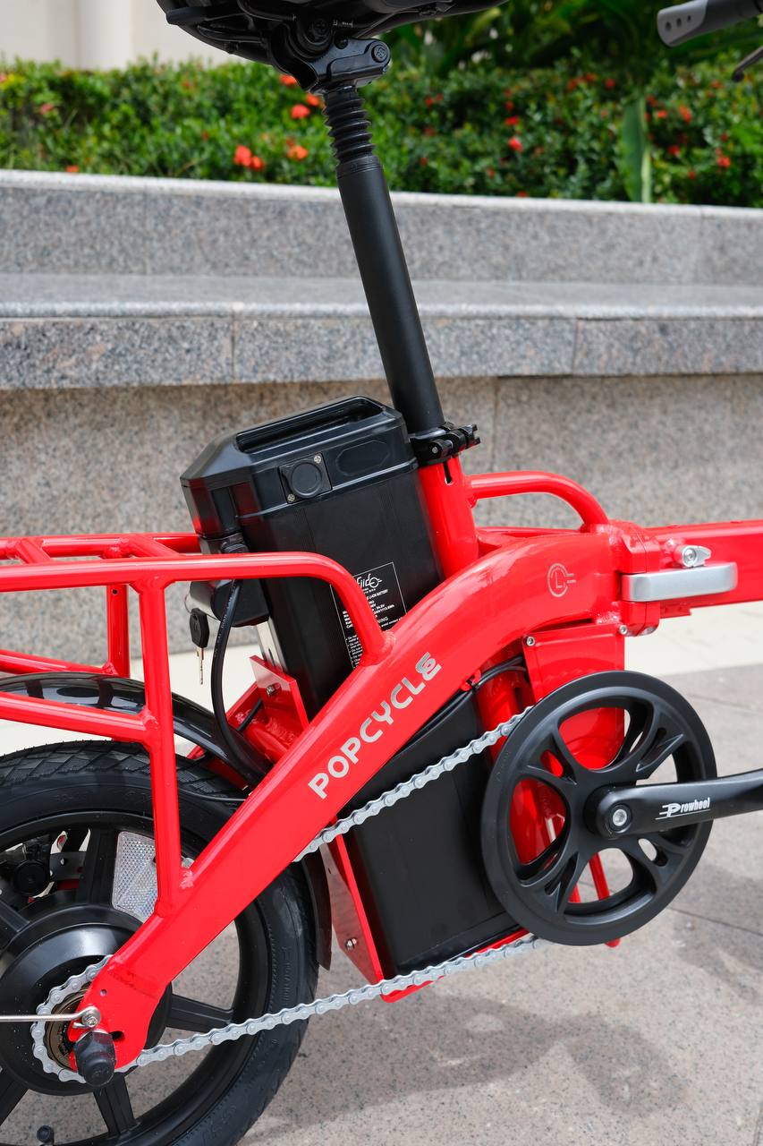 Popcycle x Fiido L3+ Electric Folding Bike