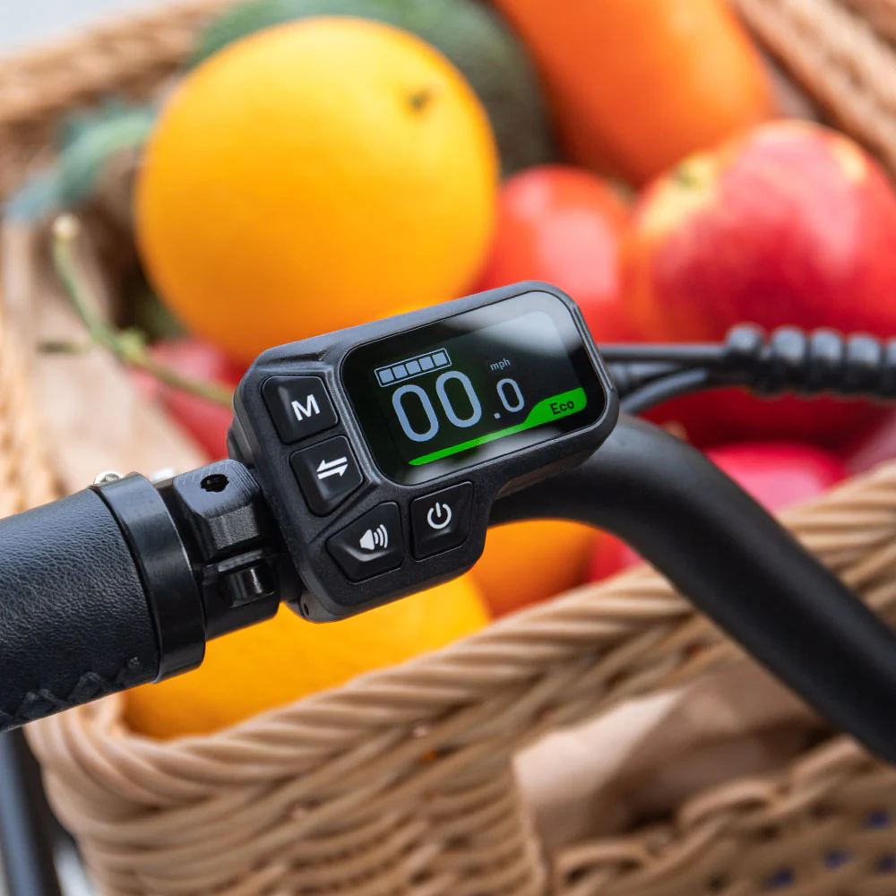 Fiido T2 - Passenger/Cargo E-bike