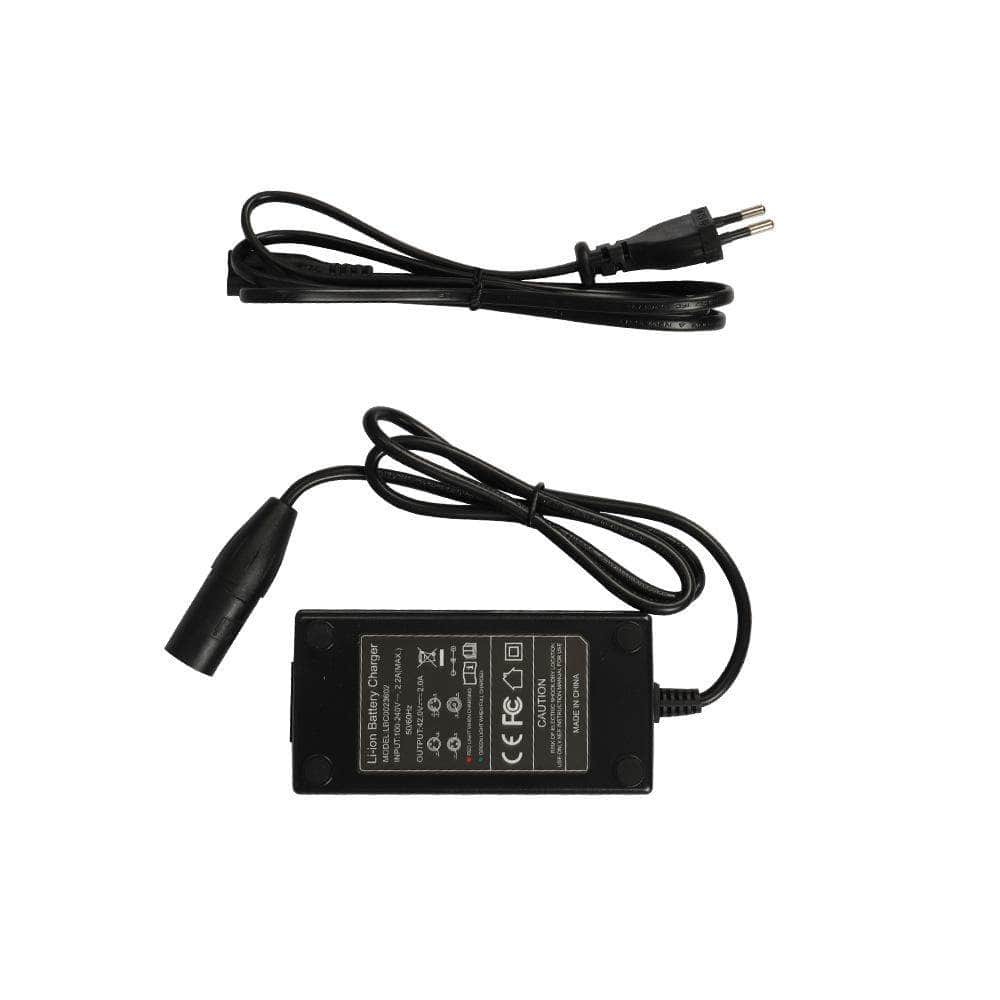 Fiido 48V Charger (L3 & T1)