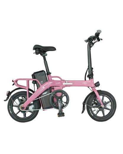 Popcycle x Fiido L3+ Long Range Electric Bike