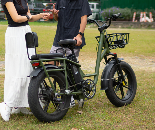 Fiido T1 Pro Passenger/Cargo Electric Bike