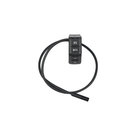 Fiido Multifunction Switch for Titan