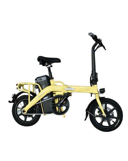 Popcycle x Fiido L3+ Long Range Electric Bike