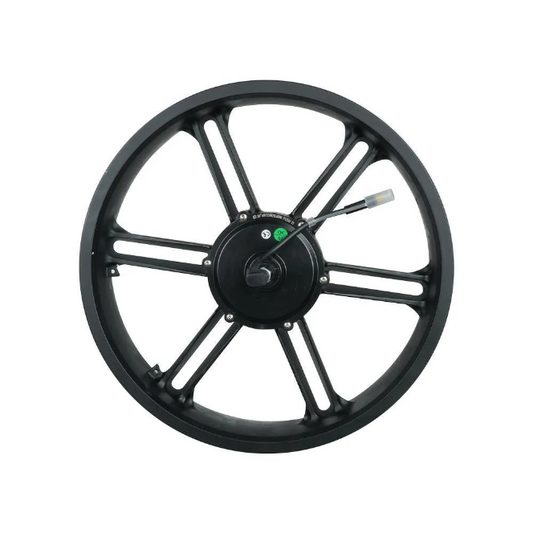 Fiido Electric Bike Motor (Fiido T1 Pro)