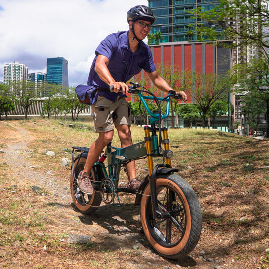 Fiido M1 Pro 2025 Folding Fat Tire Electric Mountain Bike
