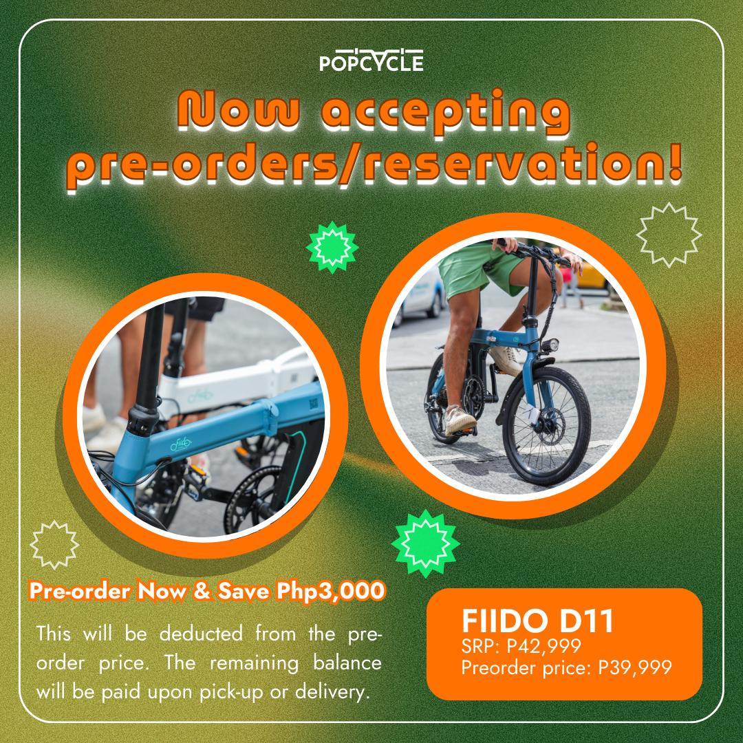 [RESTOCKING ON FEB 2025] Fiido D11 Folding Electric Bike