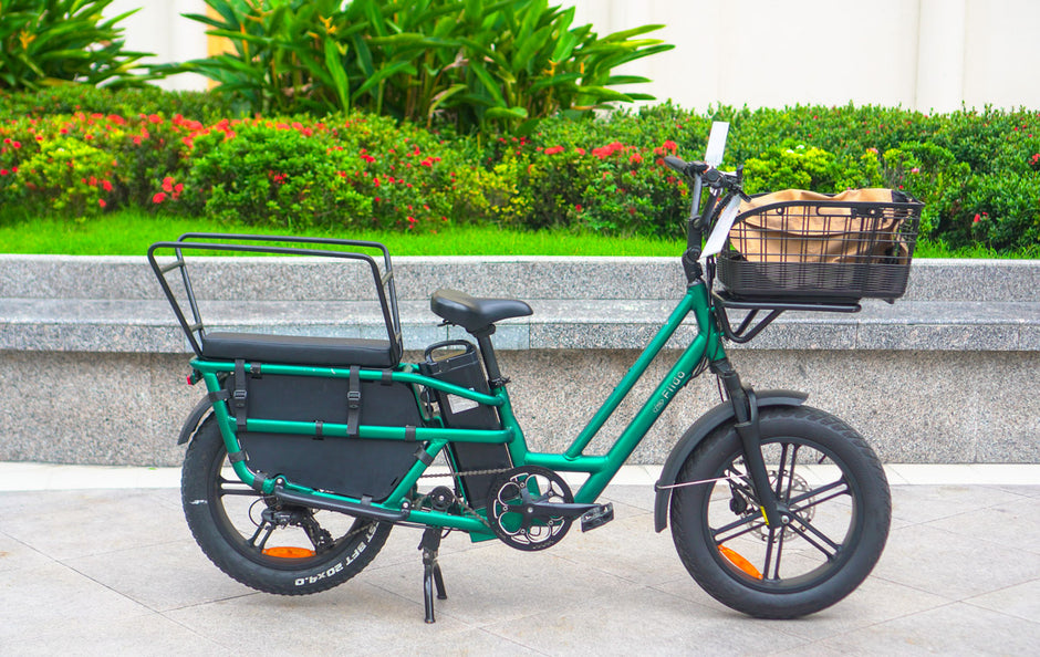 Racks & Baskets – Popcycle Ebike Center