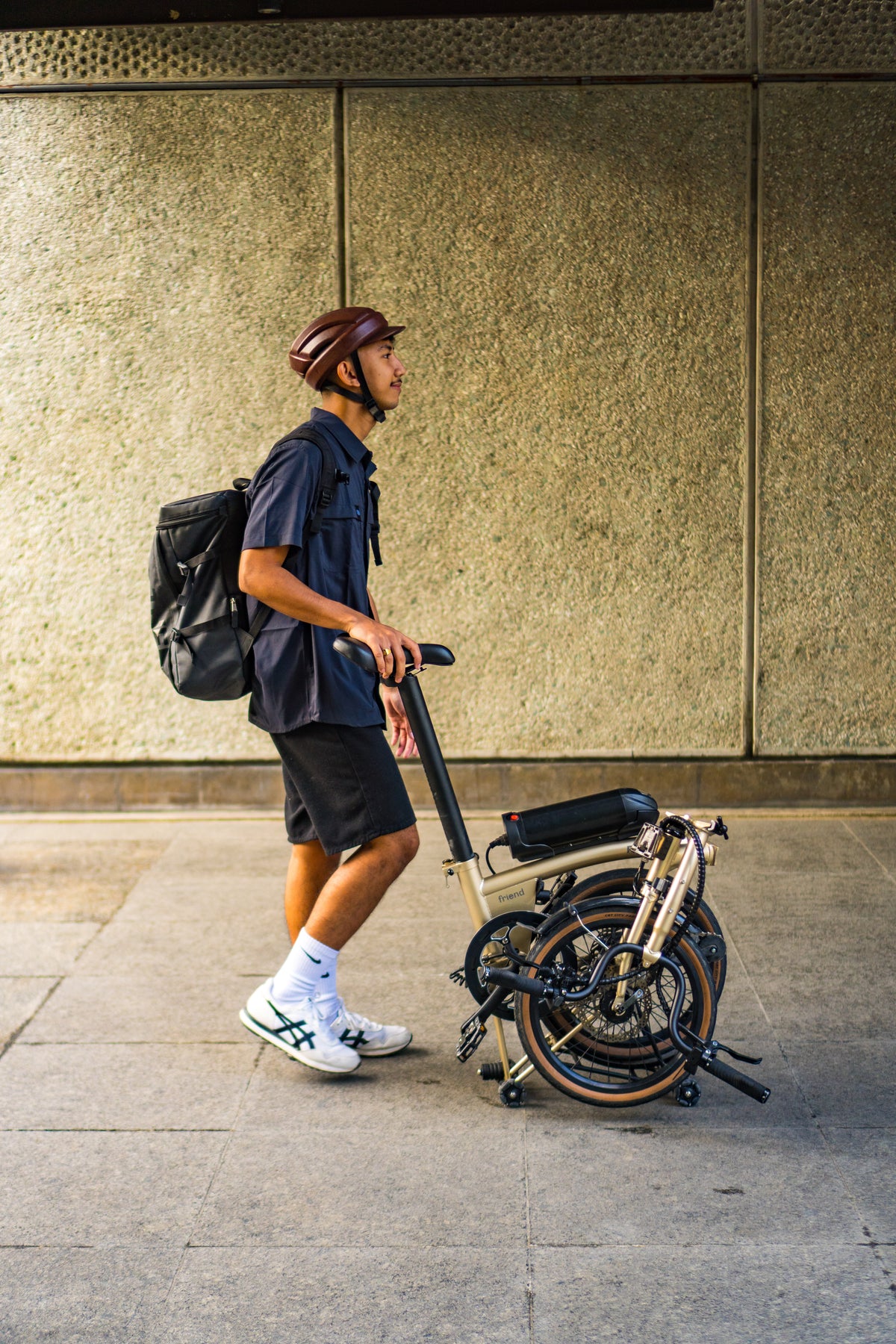Friend Trifold Electric Bike