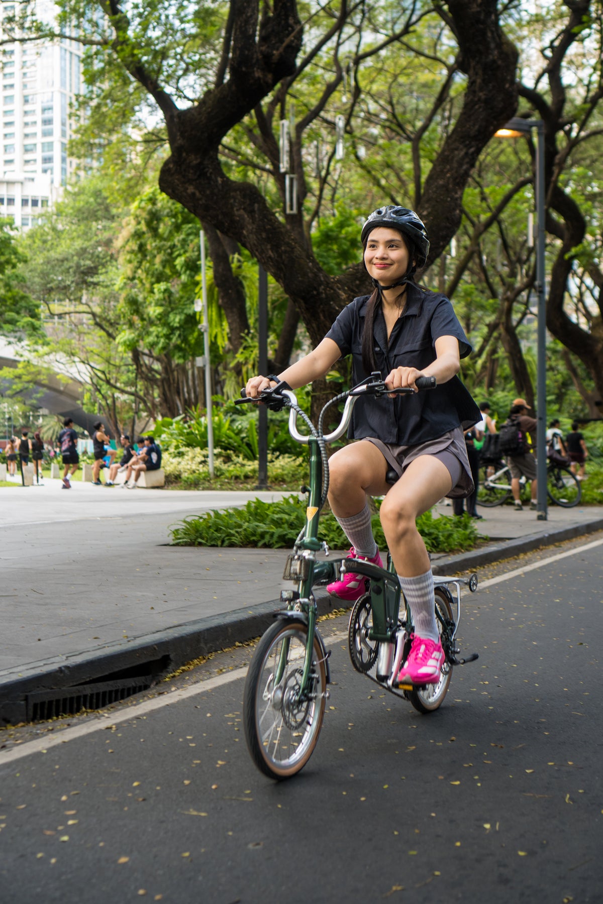 Friend Trifold Electric Bike