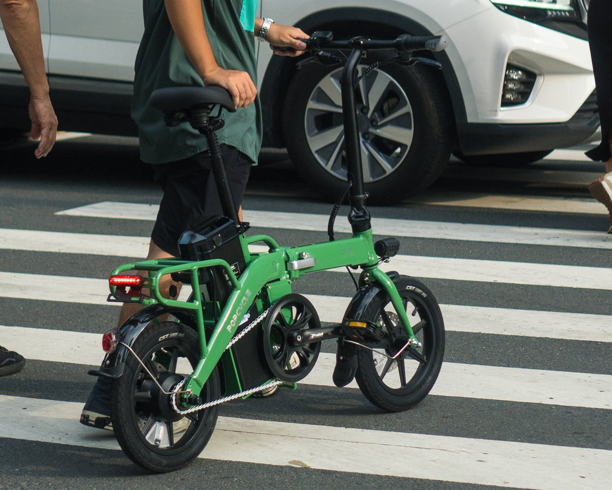 Popcycle x Fiido L3+ Long Range Electric Bike