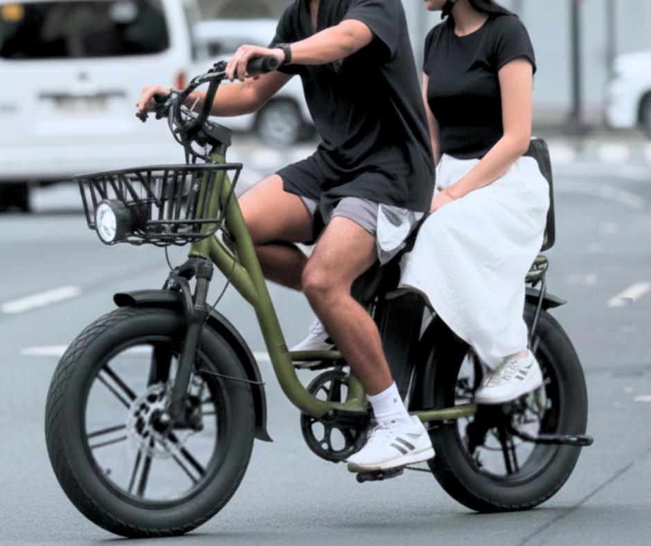 Fiido T1 Pro Passenger/Cargo Electric Bike