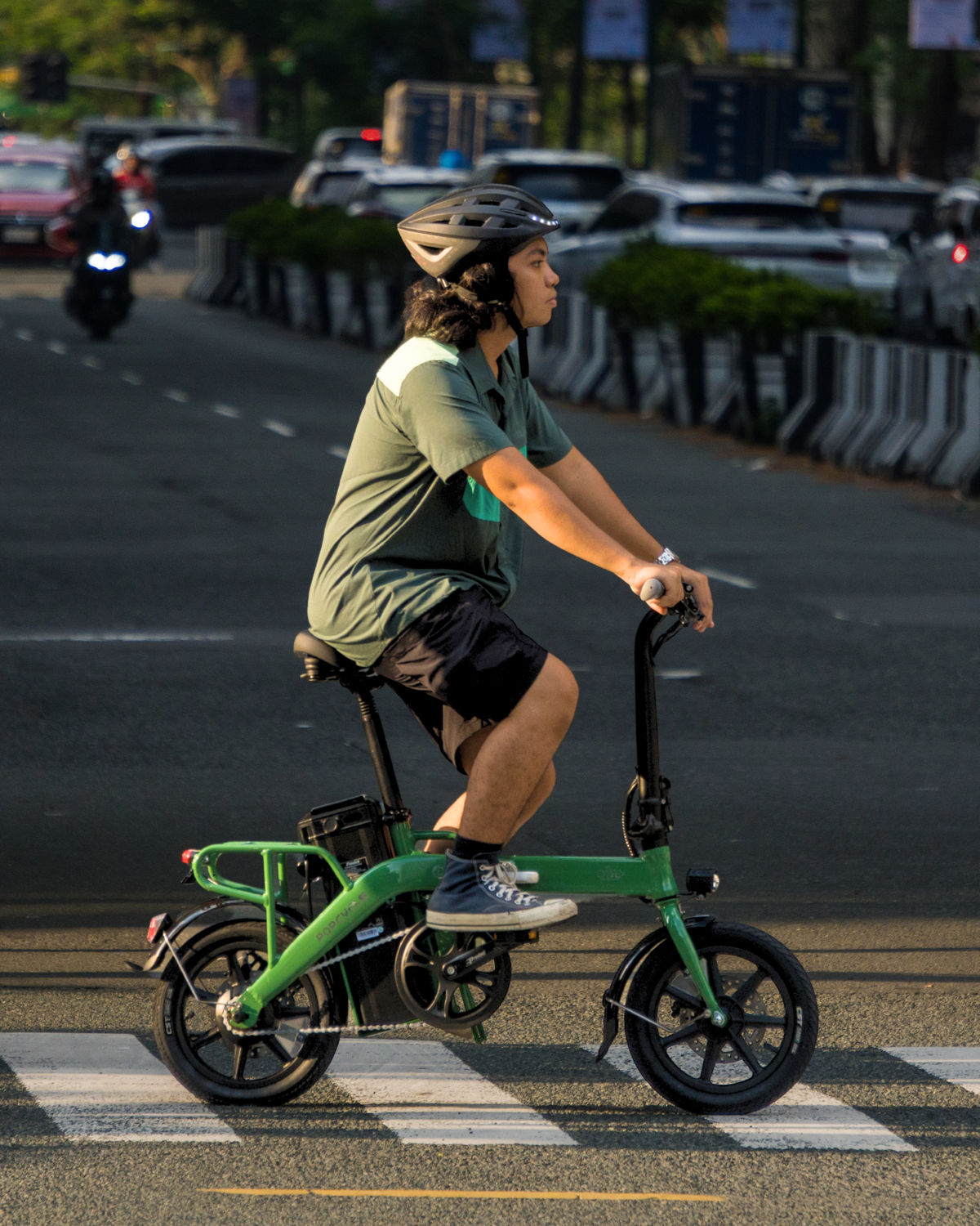 Popcycle x Fiido L3+ Long Range Electric Bike