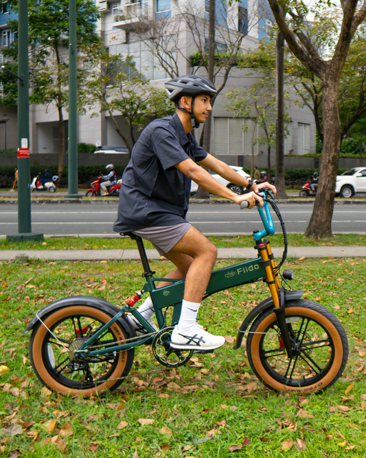 Fiido M1 Pro 2025 All-terrain Full Suspension Electric Bike