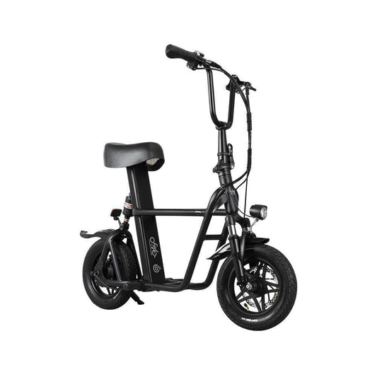 Fiido Q1S Electric Folding Scooter