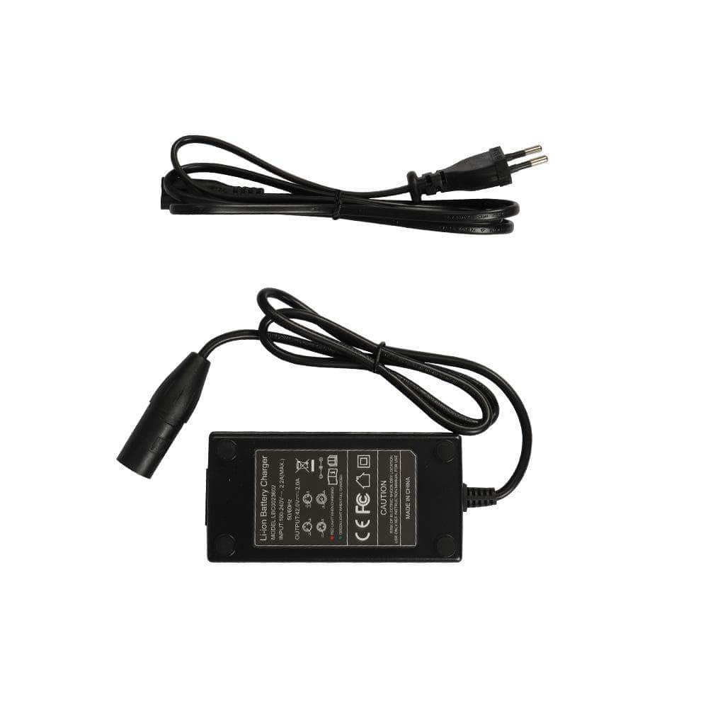 Fiido 48V Charger for L3 & T1